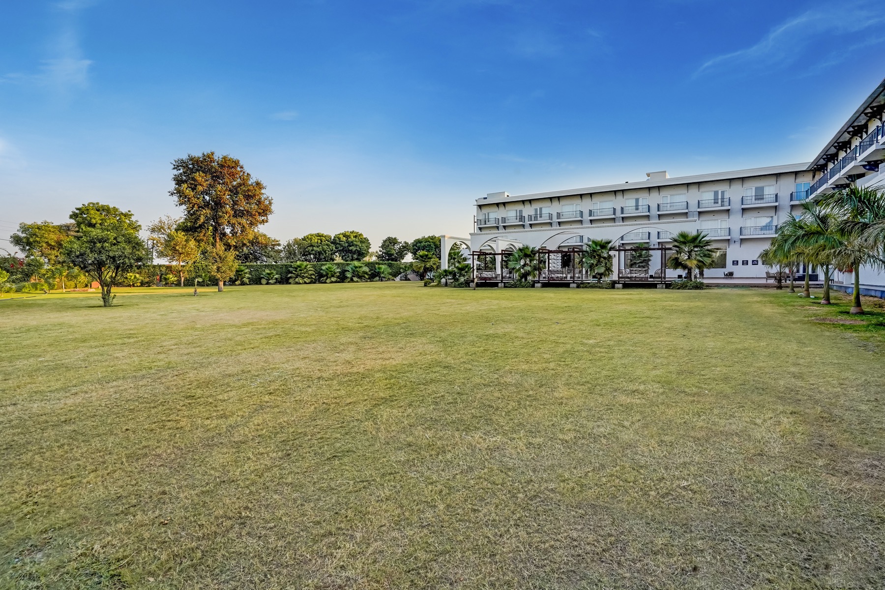 Lawns