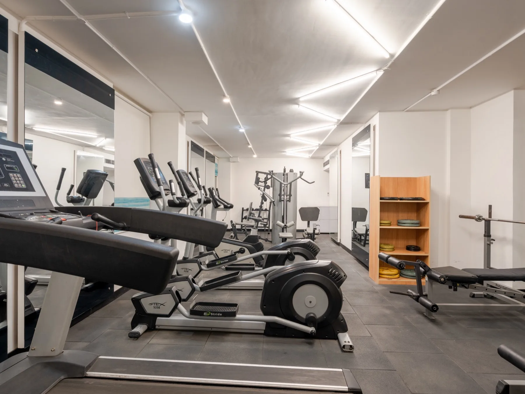 Wellness & Fitness